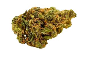 Bava Med 21/1 LEM-SK